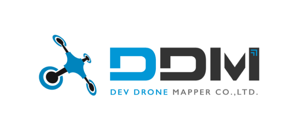 DDM Logo