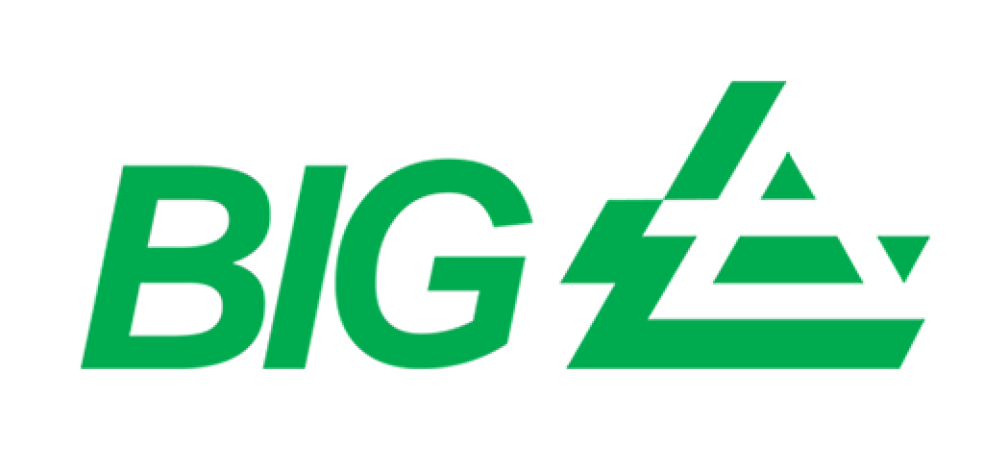 BIG Logo